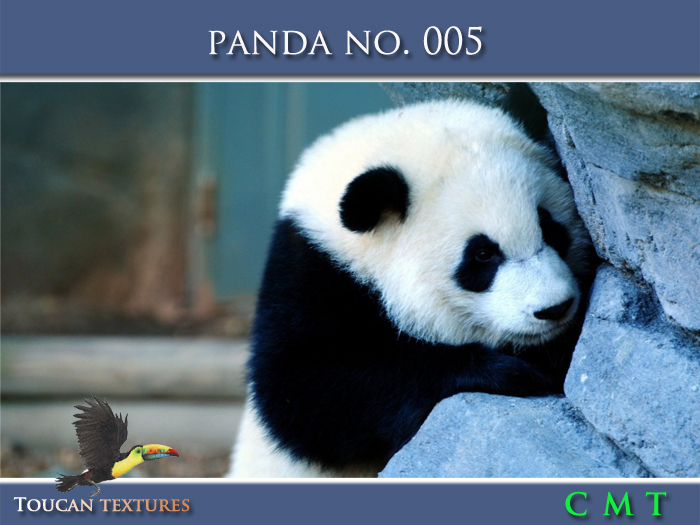 [Toucan Textures] Panda No. 005