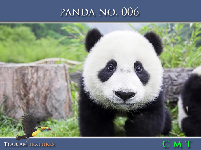 [Toucan Textures] Panda No. 006