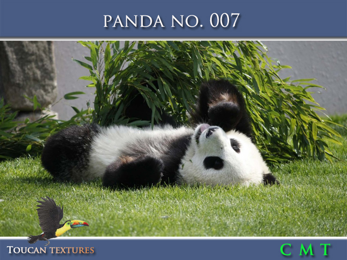 [Toucan Textures] Panda No. 007