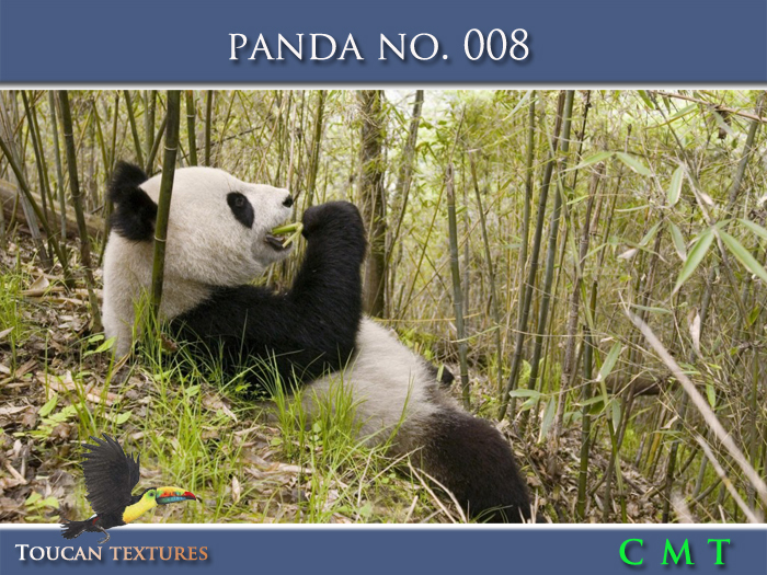[Toucan Textures] Panda No. 008