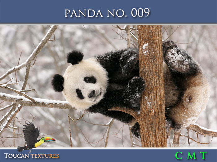 [Toucan Textures] Panda No. 009