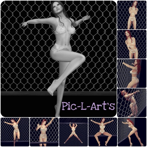 Mon grillage...10 poses...Pic-L-Art's & Le Cha'Noir