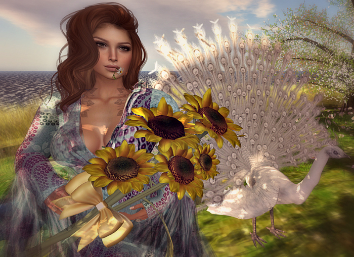CJ Sunflowers  Group