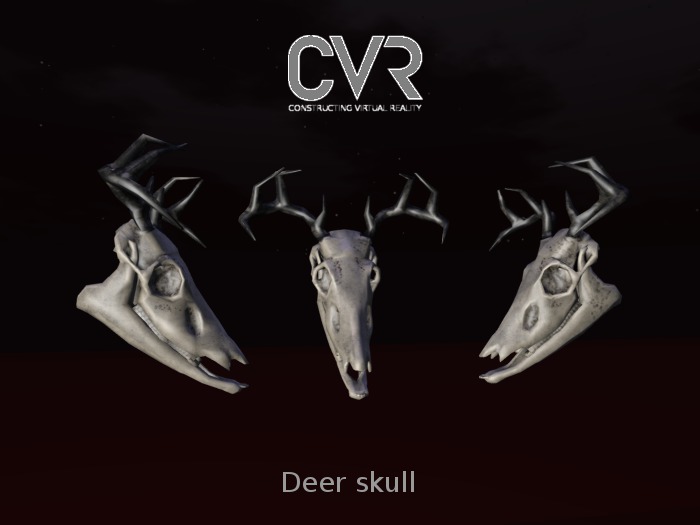 Deer skull