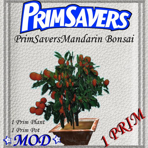 PrimSavers - Mandarin Bonsai -  12 Textures Pot