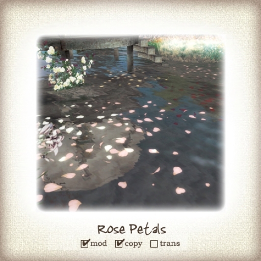 (iTuTu) rose petals