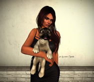 JIAN Scruffy Shepherds BOX 19. Held Pup Silver Black