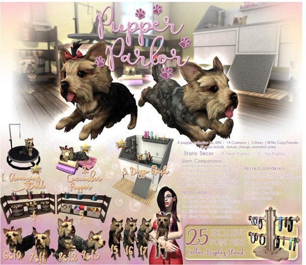 JIAN Pupper Parlor 2. Cucumber Pupper BOX RARE