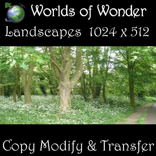 WoW Woodland / Landscape Texture