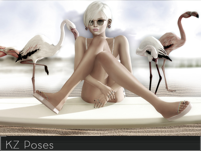 KZ poses - Control - Female bento