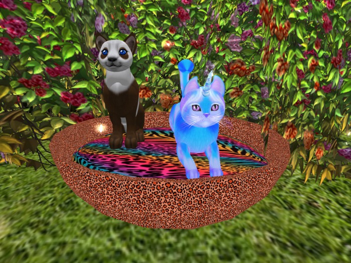 .:.MT.:.Kitty Bed - Colors