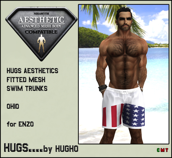 HUGS AESTHETICS FITTED MESH SWIM TRUNKS OHIO