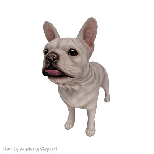 JIAN Fun Frenchies 15. White Companion BOX