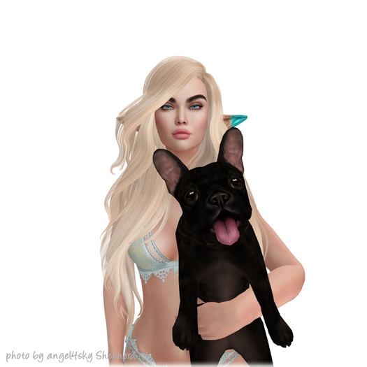 JIAN Fun Frenchies 10. Brindle Held BOX