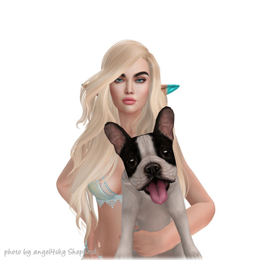 JIAN Fun Frenchies 9. White Spot Held BOX