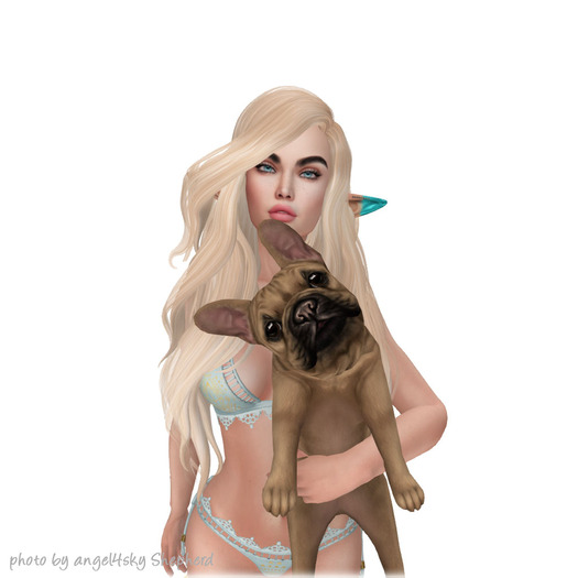 JIAN Fun Frenchies 8. Fawn Held BOX