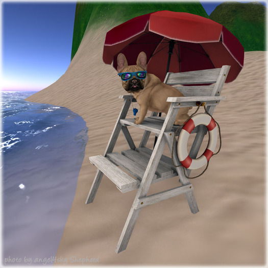 JIAN Fun Frenchies 3. Life Guard BOX RARE