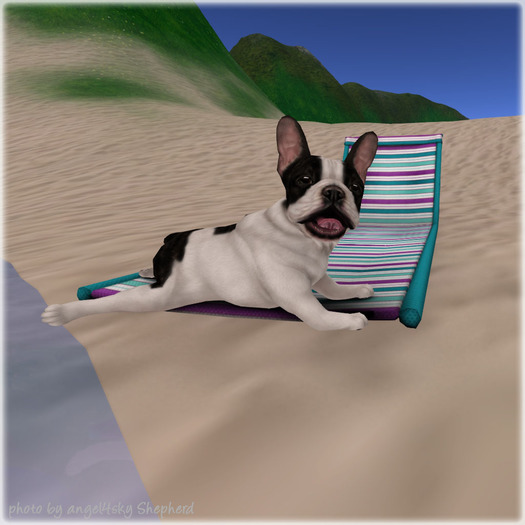 JIAN Fun Frenchies 2. Beach Chair BOX RARE