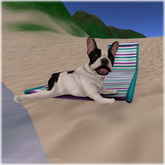 JIAN Fun Frenchies 2. Beach Chair BOX RARE