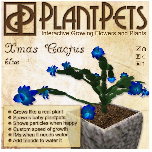 PlantPet Seed [Xmas Cactus *Blue*]