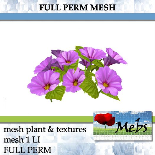 Petunias mesh flowering