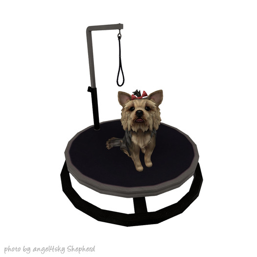 JIAN Pupper Parlor 1. Grooming Stand BOX RARE