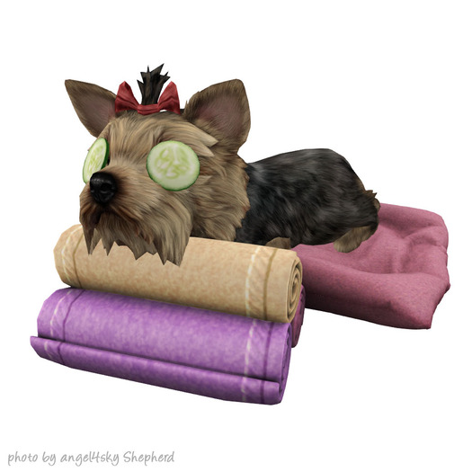 JIAN Pupper Parlor 2. Cucumber Pupper BOX RARE