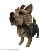 JIAN Pupper Parlor 8. Silver Bow Companion BOX