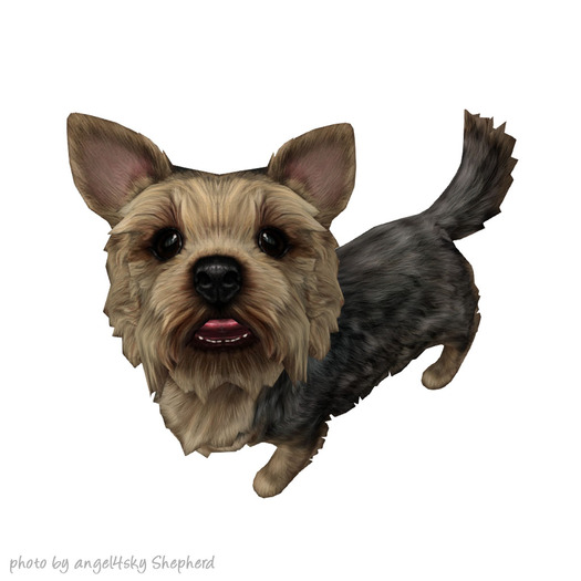 JIAN Pupper Parlor 9. Silver Companion BOX