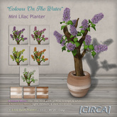 [CIRCA] - "Colours On The Water" Mini Lilac Planter