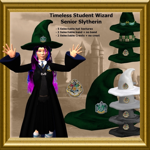 Timeless Wizard hat - Senior Student - Slytherin