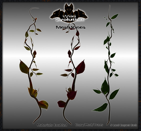[Wild Evolutions] - Vines (Rez)