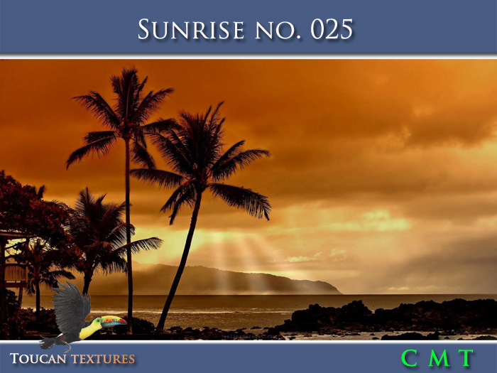 [Toucan Textures] Sunrise No. 025