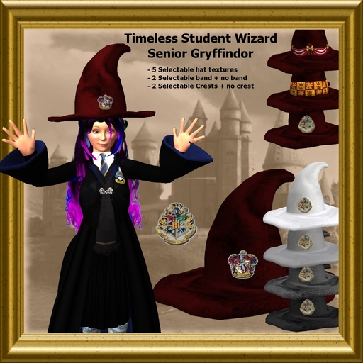 Timeless Wizard hat - Senior Student - Gryffindor