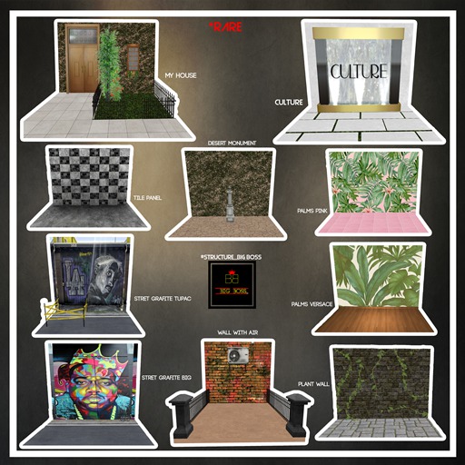 [BIG BOSS] - Culture *RARE