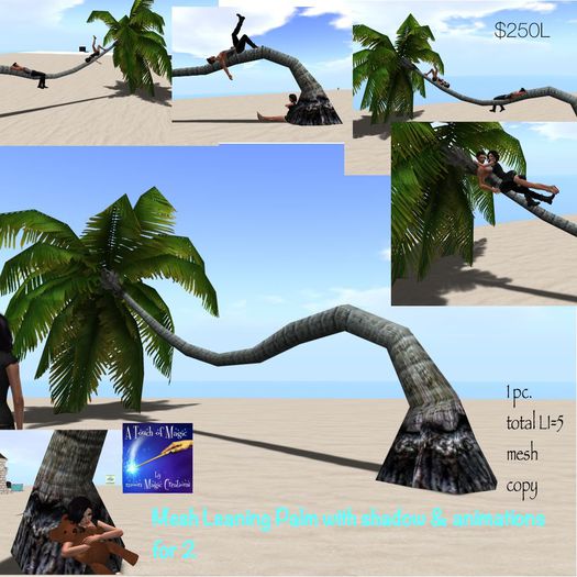 Mesh Leaning Palm with shadow animated for 2-crate