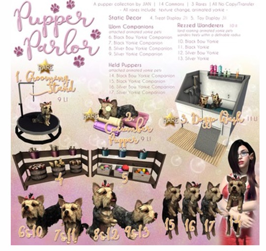 JIAN Pupper Parlor 13. Silver Wanderer BOX