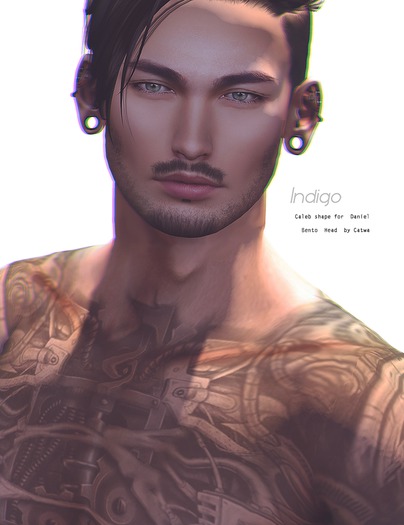 [INDIGO] Caleb Shape for Daniel Bento