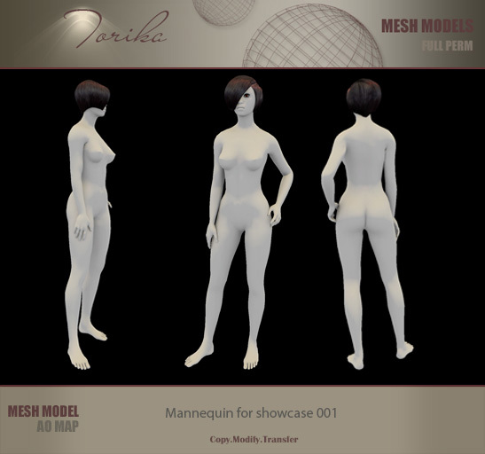 Torika Mannequin for Showcase