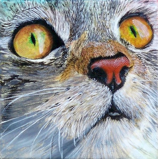 Junior the Cat