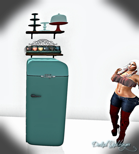 Farmhouse Kitchen Fridge 9LI