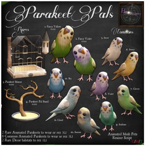 5. *HEXtraordinary* Parakeet Pal - Snow