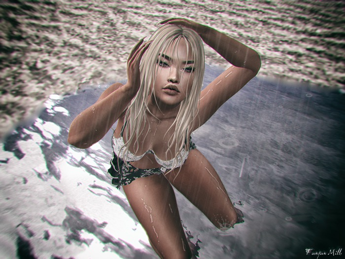 FMS POSES - pose 411