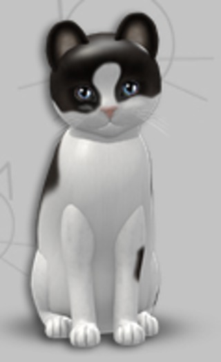 KittyCatS Box - Chateau Cat Cocoa White 2/3T/Male/Tapestry Allure