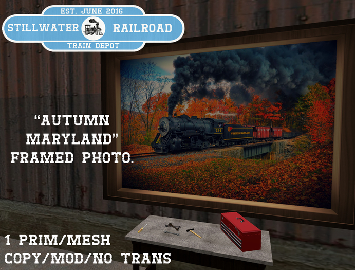 ~*SR*~ Autumn Maryland Framed Photo[Boxed]