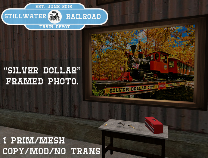 ~*SR*~ Silver Dollar Framed Photo[Boxed]