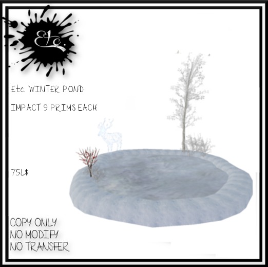 Etc. WINTER POND