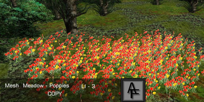 AF:- Meadow Poppies-Boxed