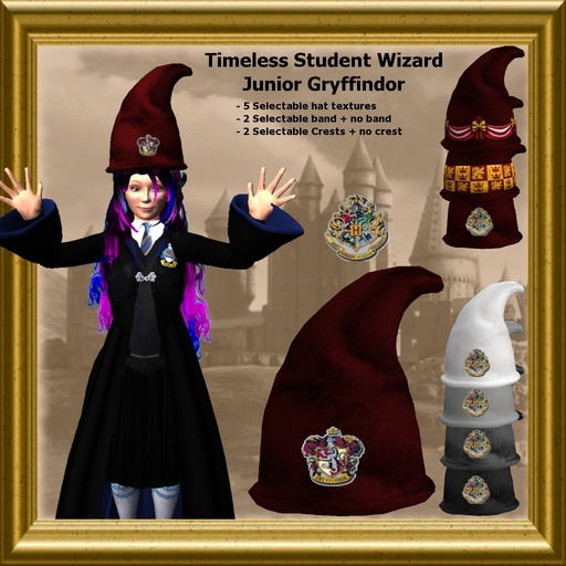 Timeless Wizard hat - Junior Student - Gryffindor