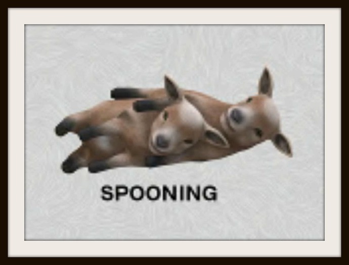KITE - Sweater Weather - Spooning
